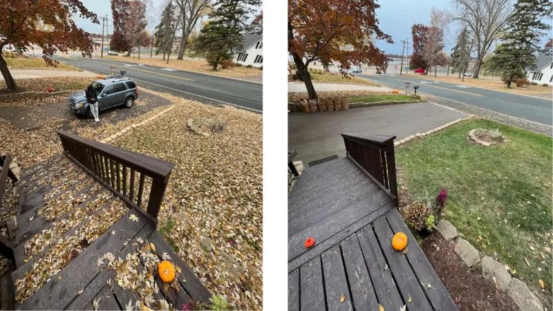 Fall and Spring Clean Up