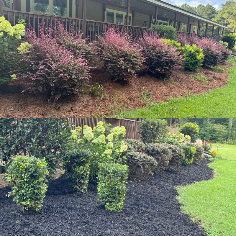 Turf, Ornamental, and Irrigation