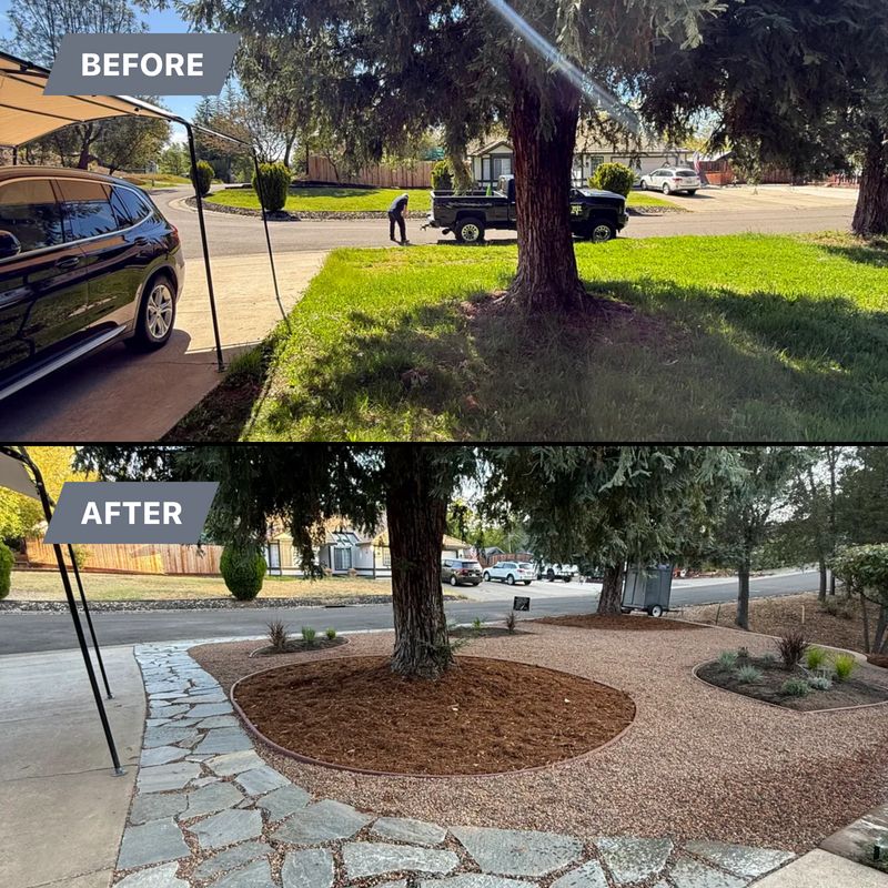 “Before & After”
