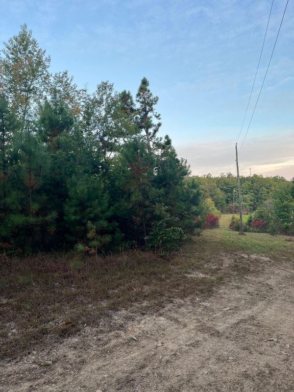 Brush cutting/clearing
