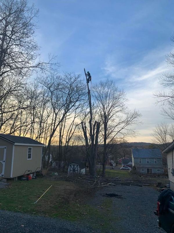 Storm Damage Clean-Up