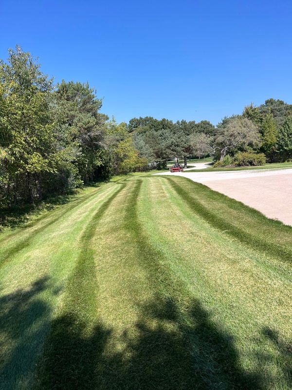 Beautiful Lawns
