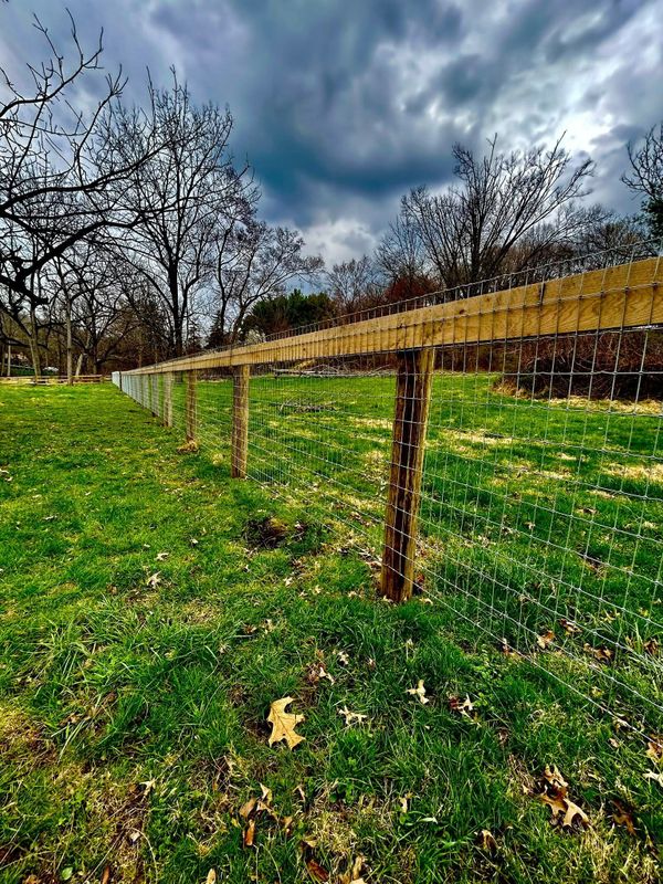 Fencing