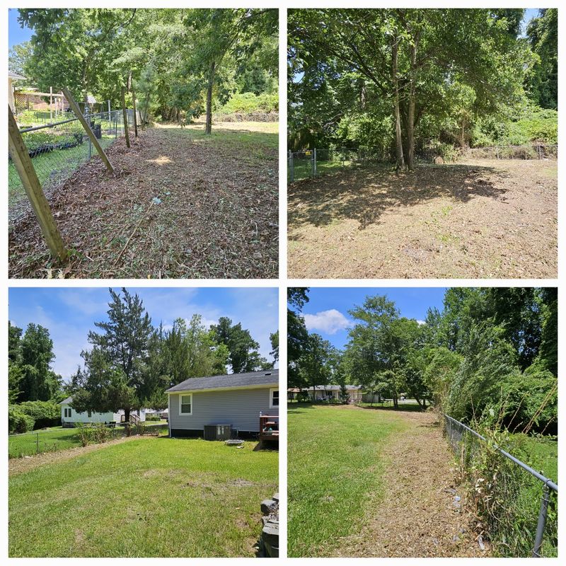 Brush Clearing