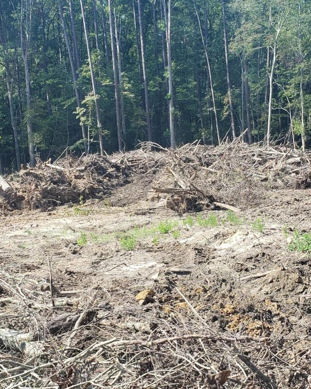 Land Clearing and Site Preparation