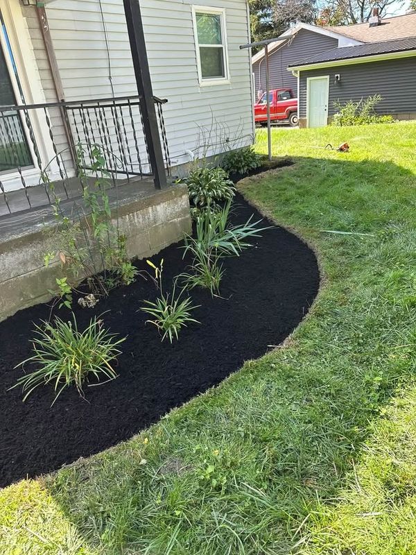 Shrub Trimming