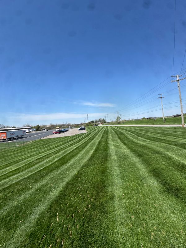Lawn Maintenance