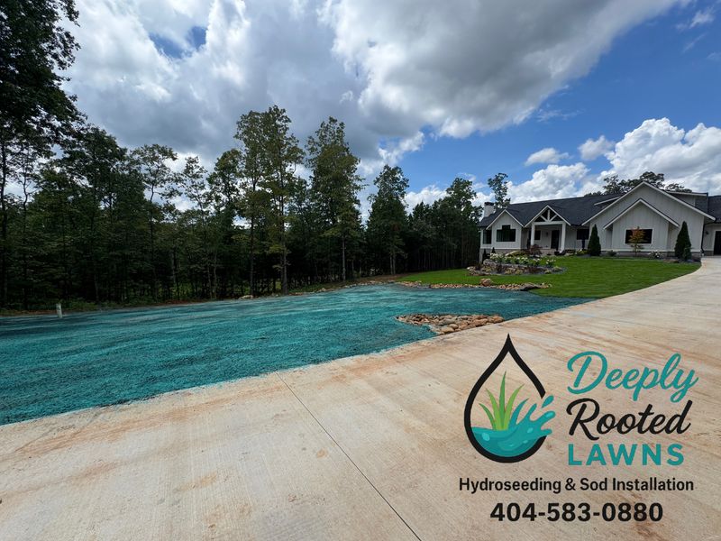Hydroseeding gallery