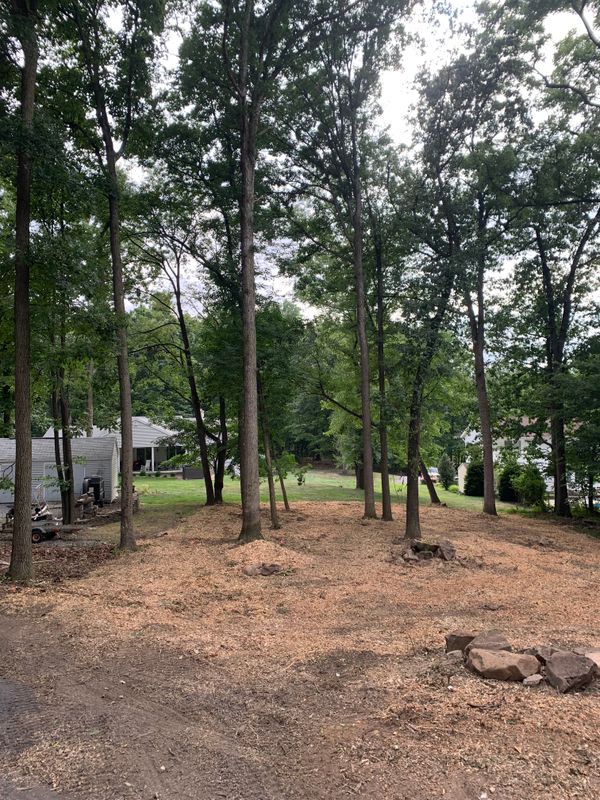 Land Clearing