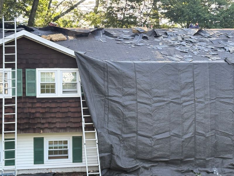 Roofing Repairs
