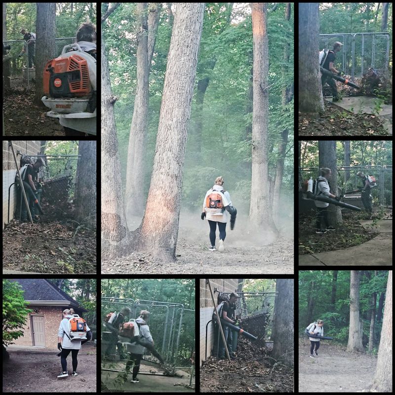 Storm Damage Clean-Up