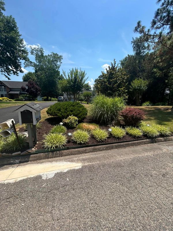 Tree & Shrub Trimming