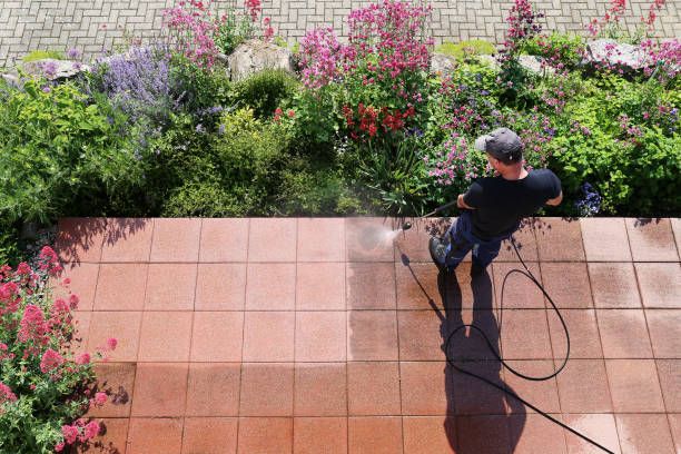Deck and Patio Cleaning