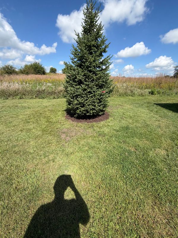 Full Property Cleanups