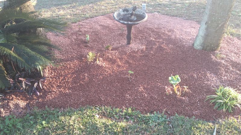 Some of our work