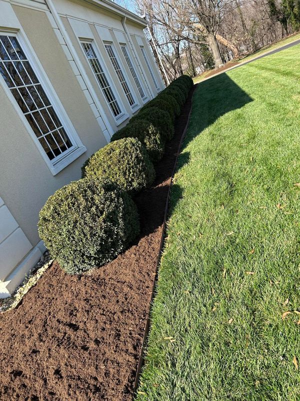 Shrub and Hedge Care