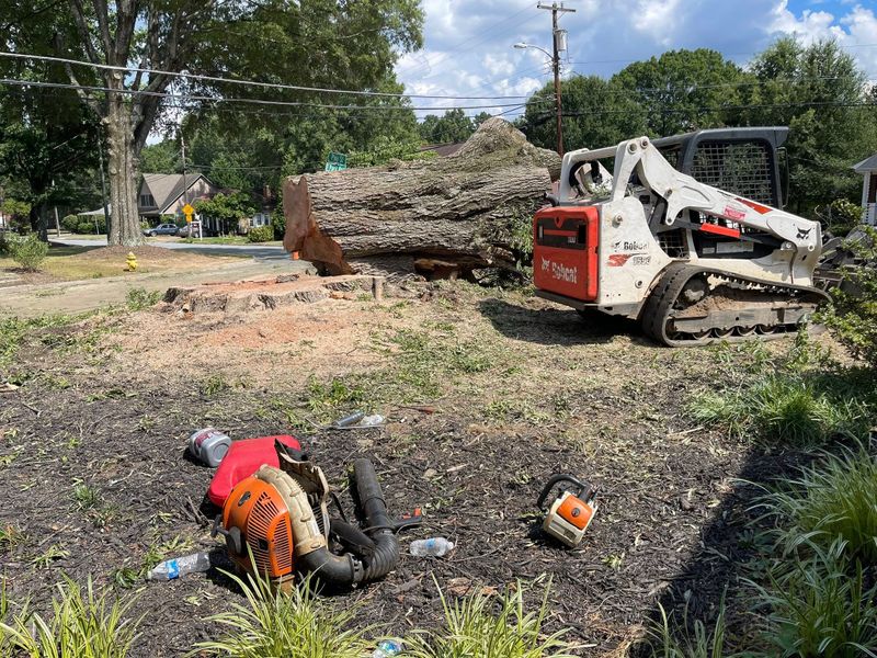 Tree Services
