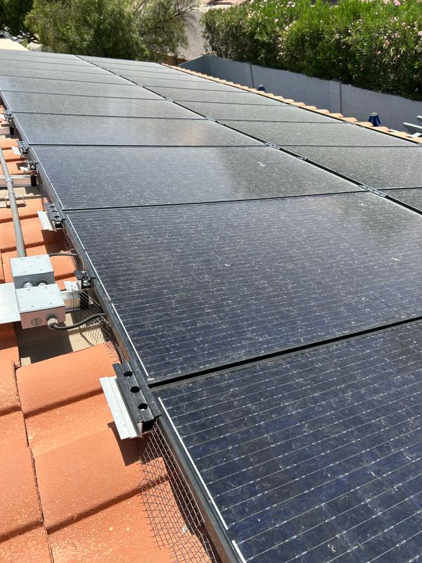 Bird Proofing
