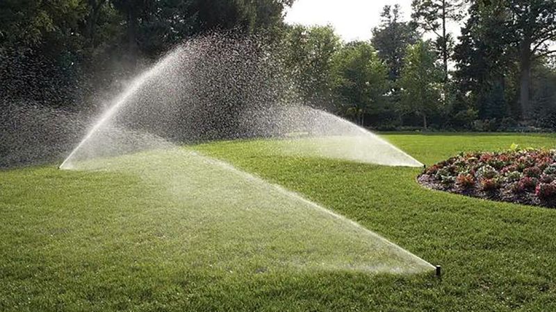 Lawn Aeration