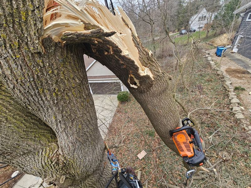 Storm Damage Mitigation