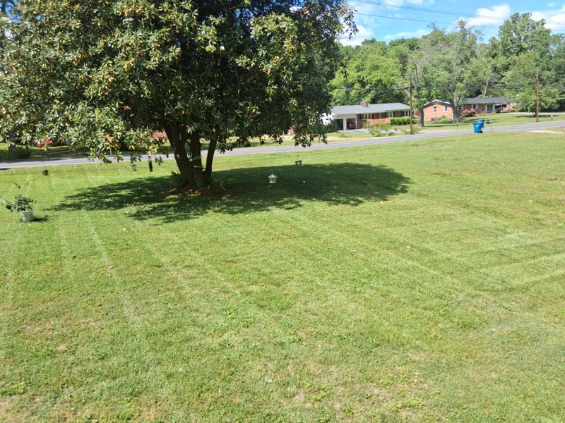 Lawn Aeration
