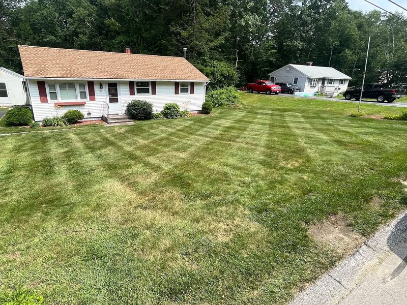 Landscape Maintenance