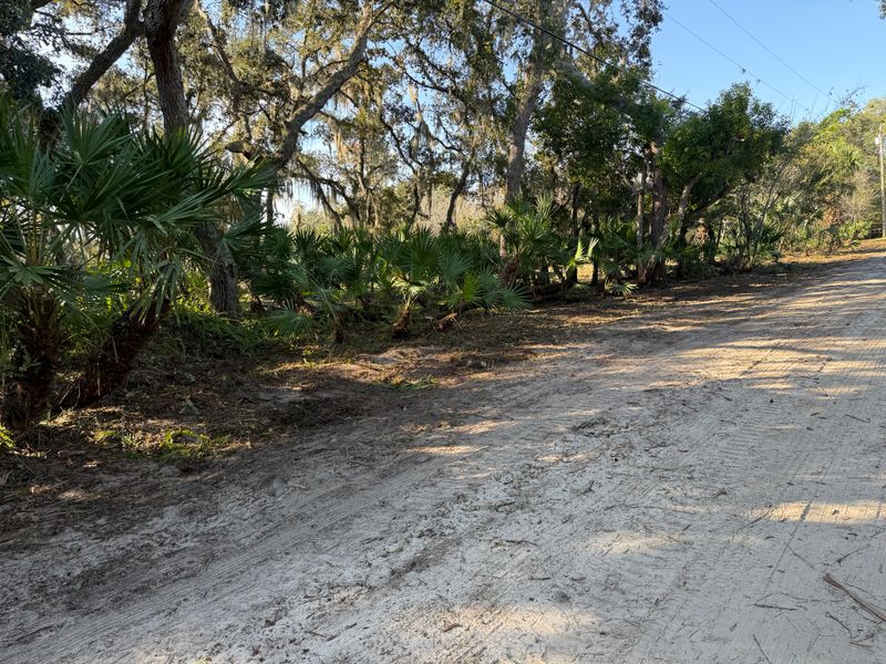 Land Clearing