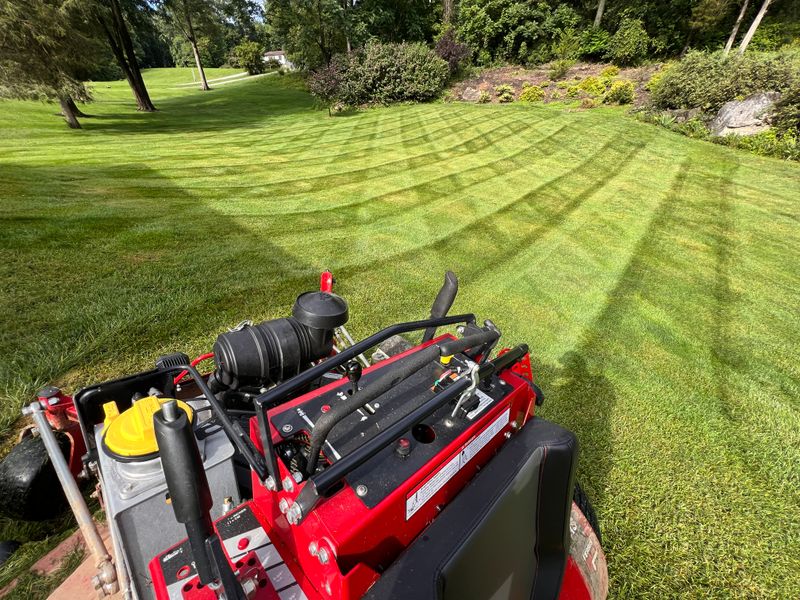 Weekly Lawn Maintenance