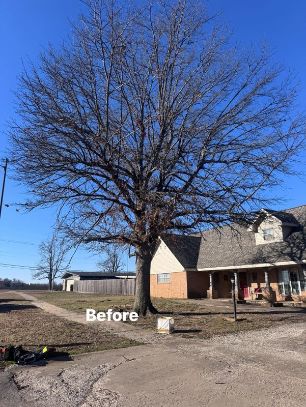 Fall Clean Up