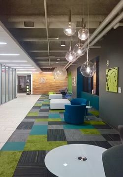 Commercial Interior Painting