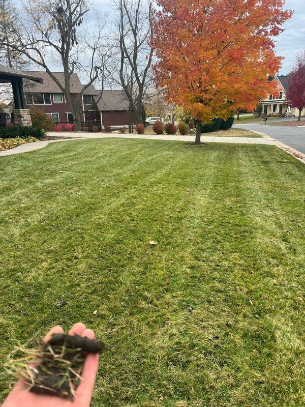 Lawn Maintenance