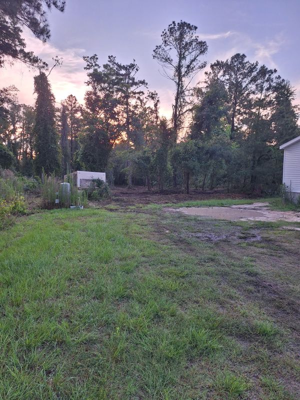 Land Clearing