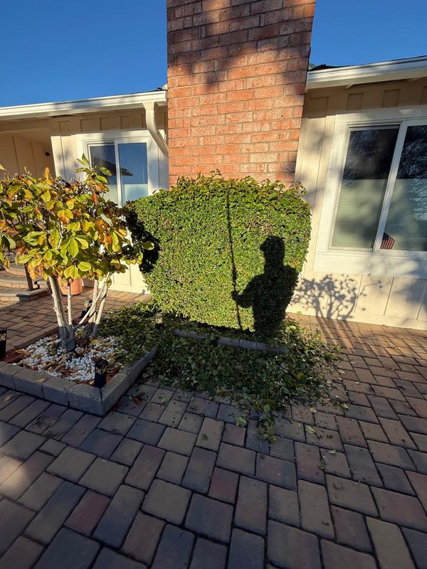 Landscaping