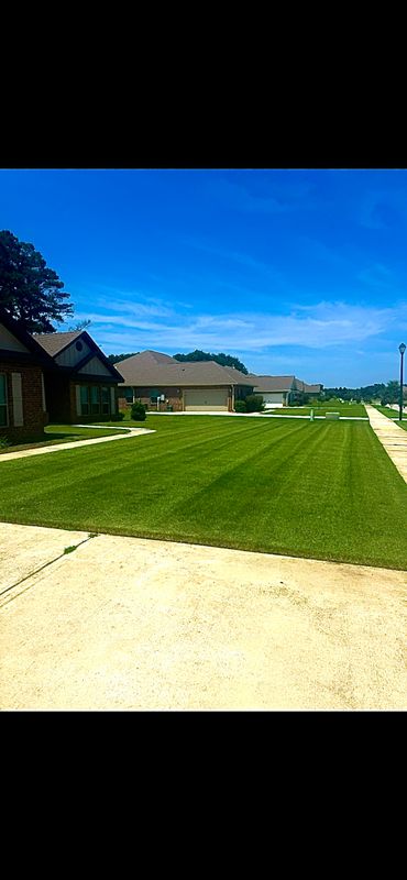 Landscape Maintenance