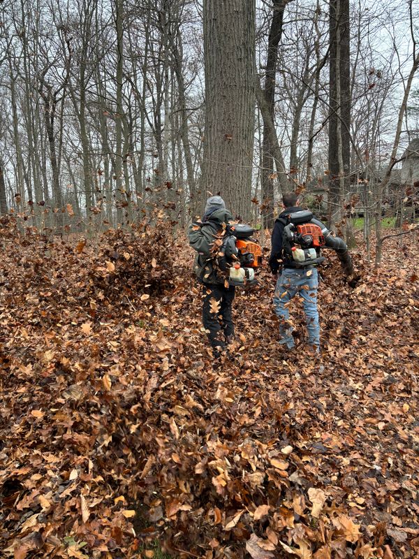 Seasonal Clean Ups
