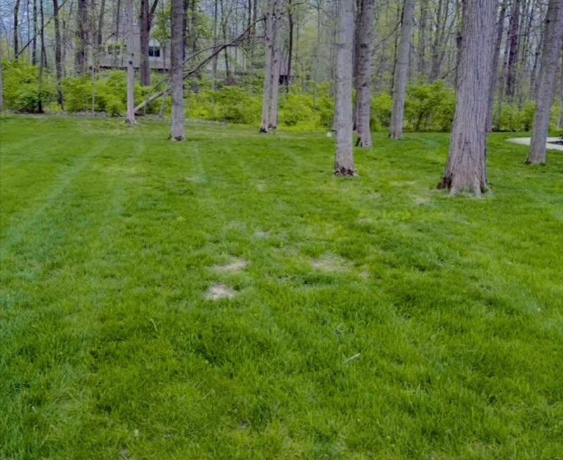 Mowing