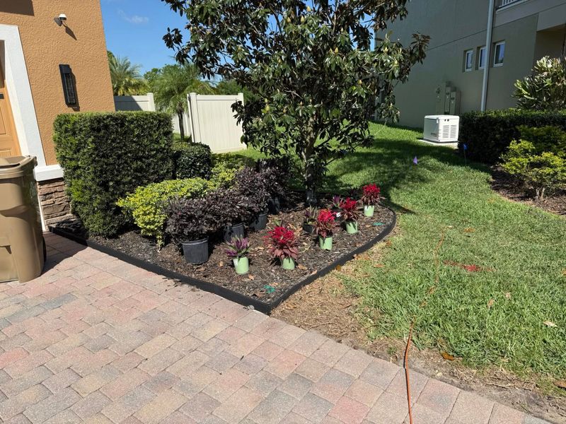 Sod Installation