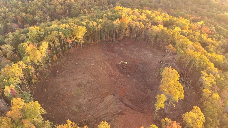 Land Clearing