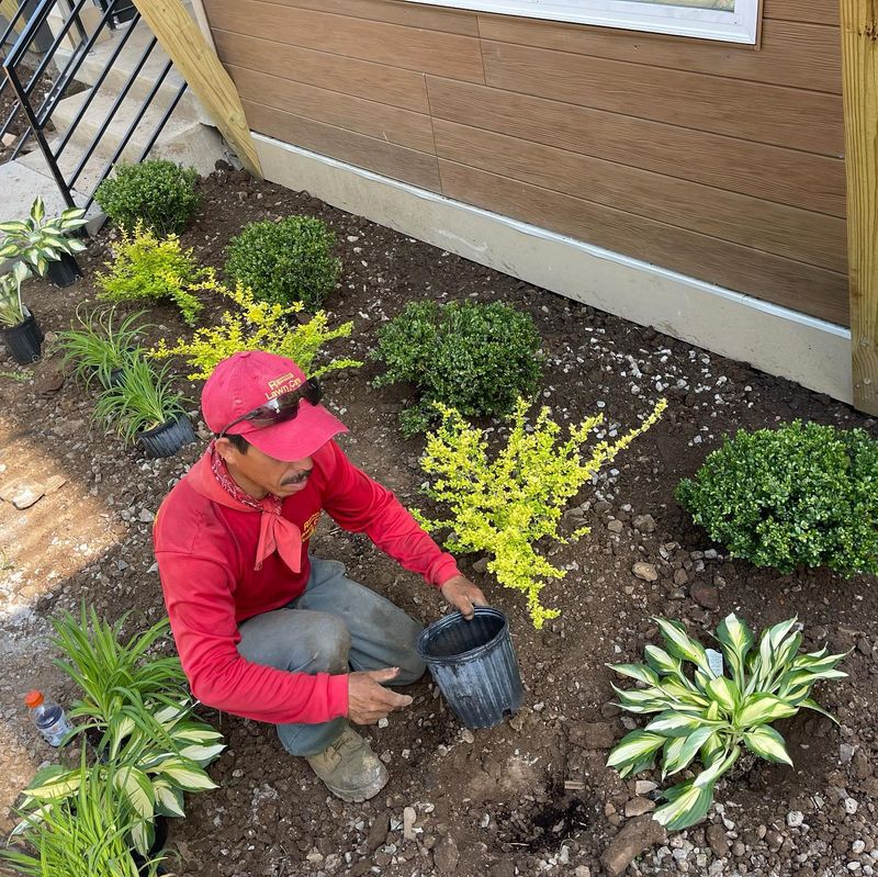 Landscaping