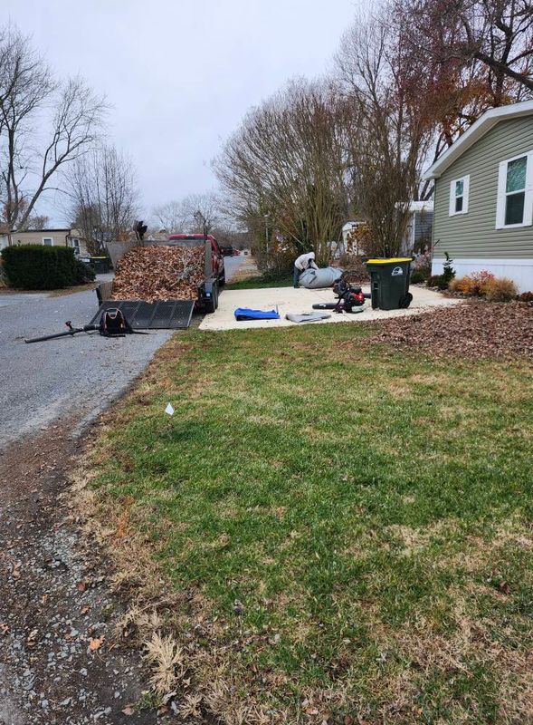 Landscaping & Hardscaping