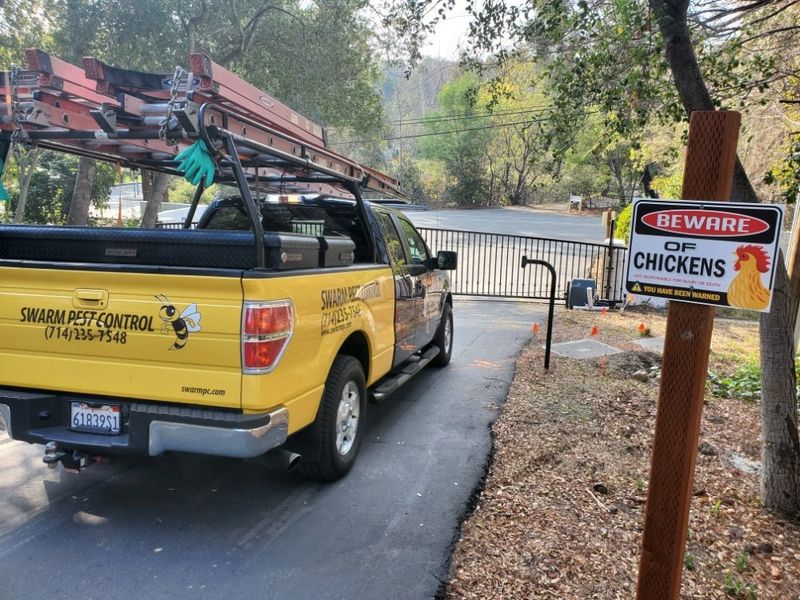 Mosquito Control