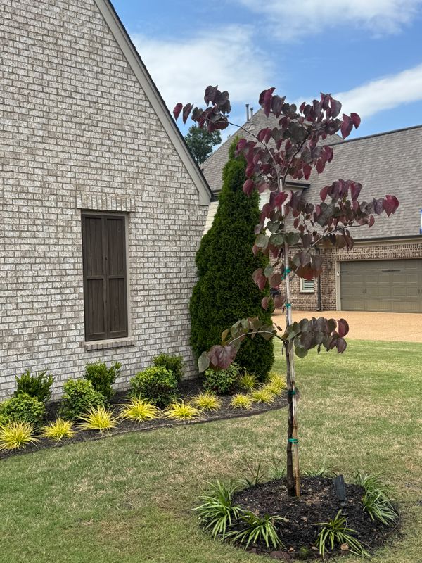 Garden Maintenance