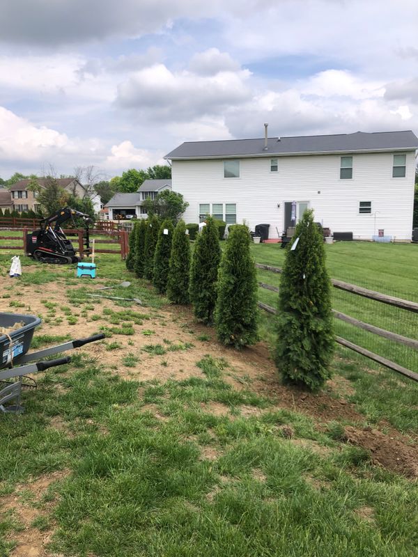 Landscaping