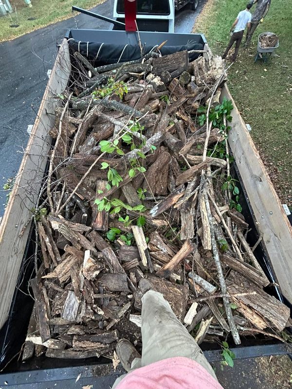 Debris Removal