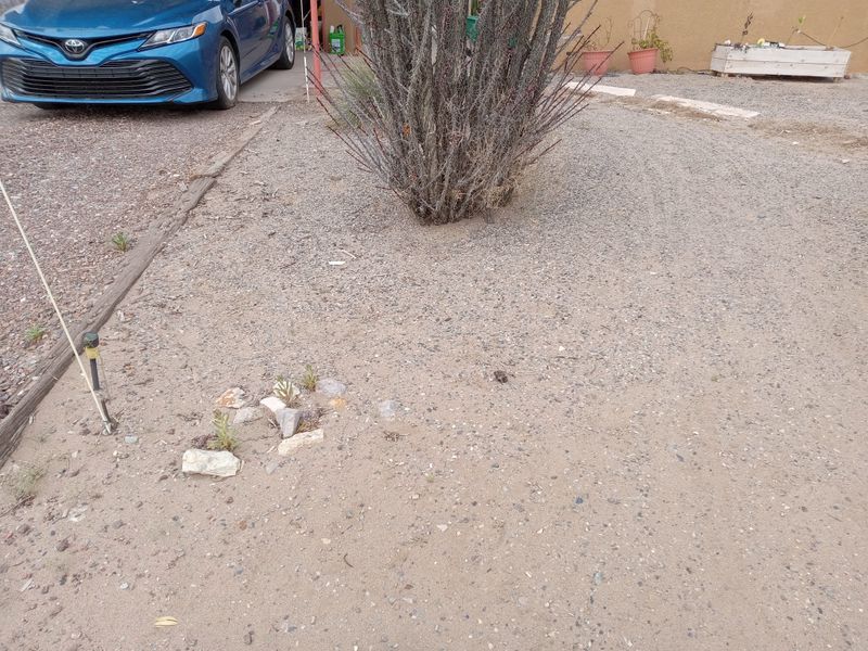 Hardscaping