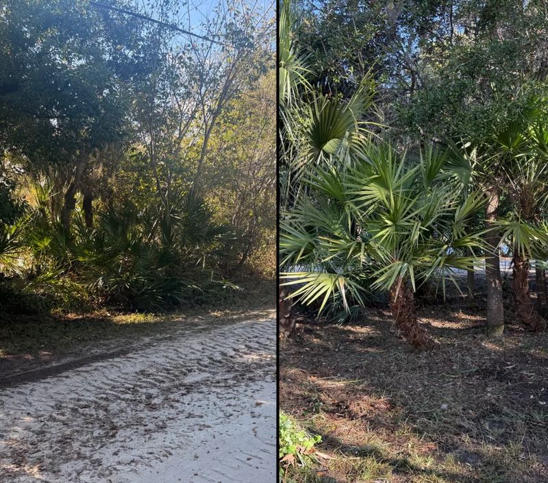 Land Clearing