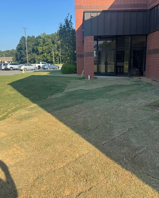 Lawn Care and Maintenance