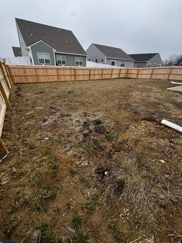Lawn Seeding & Over-seeding