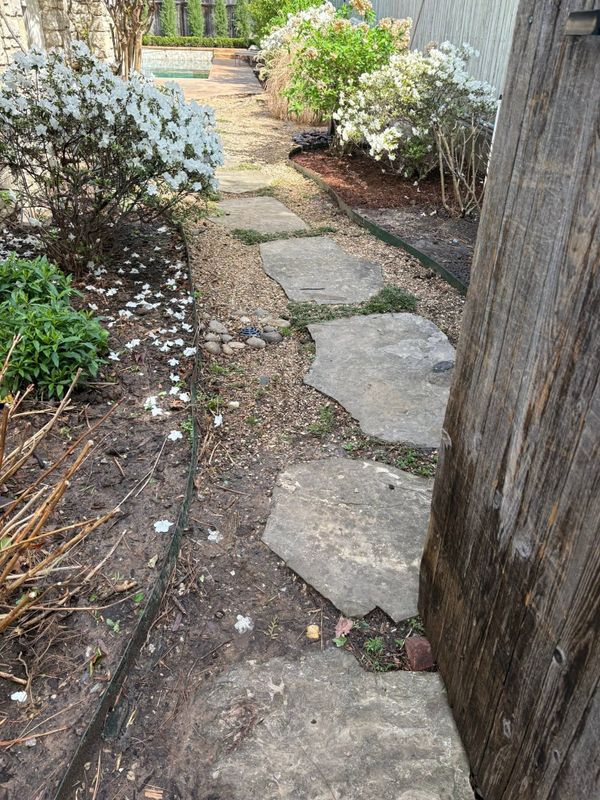 Shrub Trimming