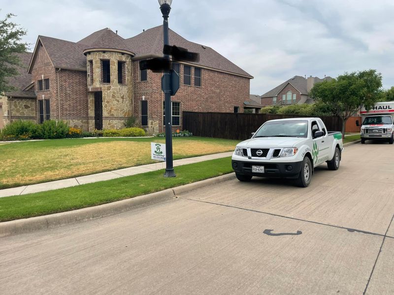 Pet Waste Removal